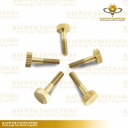 Automotive Screws-03.jpg