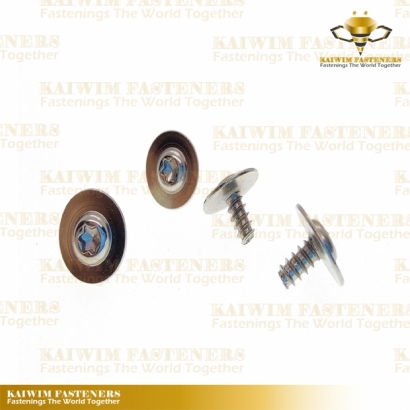 Automotive Screws-04.jpg