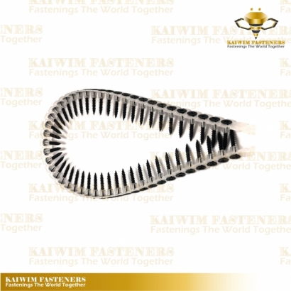 Collated Screws-05.jpg