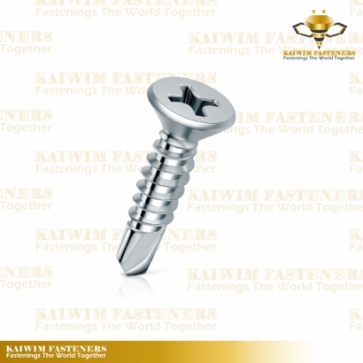 Self Drilling Screws-02.jpg