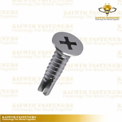 Self Drilling Screws-05.jpg