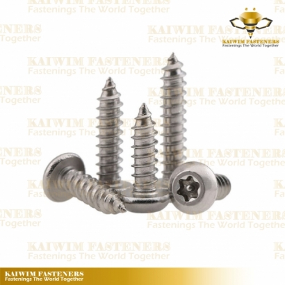 Self Tapping Screws-01.jpg