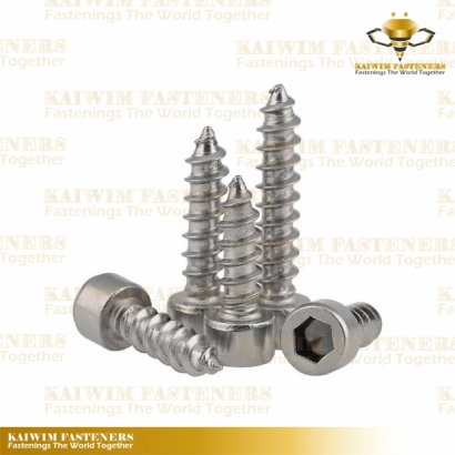 Self Tapping Screws-04.jpg