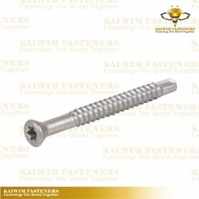 Self Tapping Screws-05.jpg