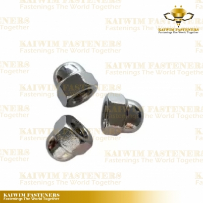 Cap Screw Nuts-01.jpg