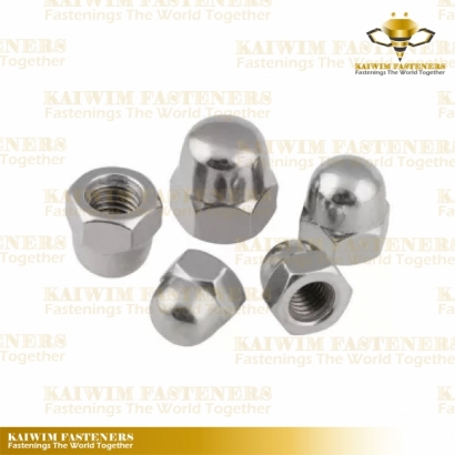 Cap Screw Nuts-04.jpg