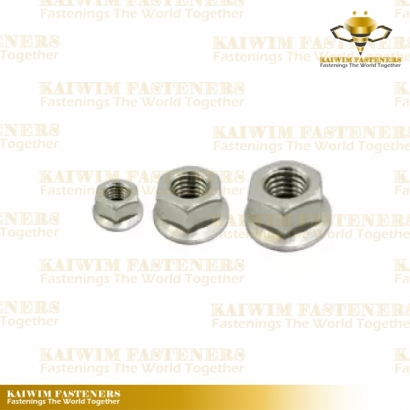 Conical Screws Nuts-03.jpg